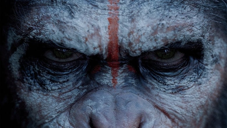 кадр из фильма Планета обезьян: Революция
